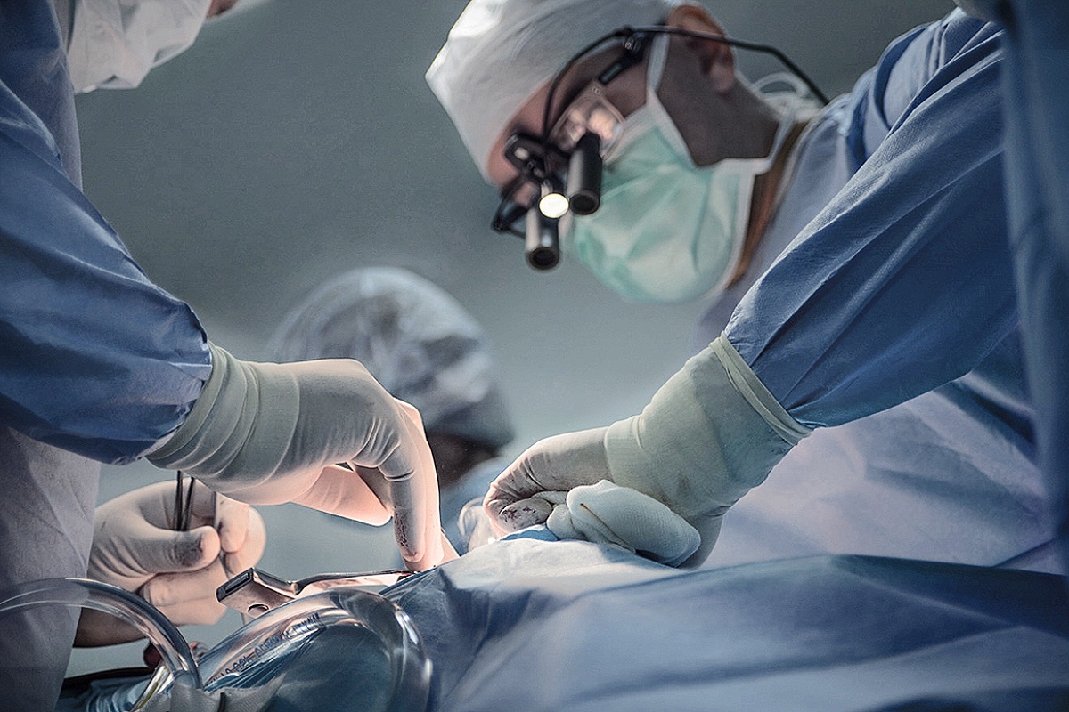 Assist m4x1ight happiness / Shuttersock / FOTODOM📷В 2025 году День медицинского работника в России отметят 15 июня