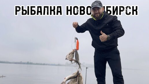 НЕ УСПЕВАЮ ПОДСЕКАТЬ!УТРОМ ЛОВИТСЯ ВСЕ НА ОБИ!ФИДЕРА В ДУГУ ОТ ЭТИХ ЛАПТЕЙ!