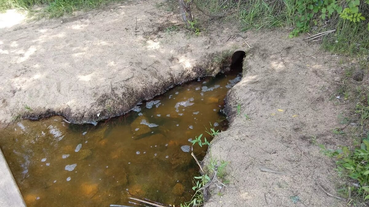     Источник: kursdela.biz