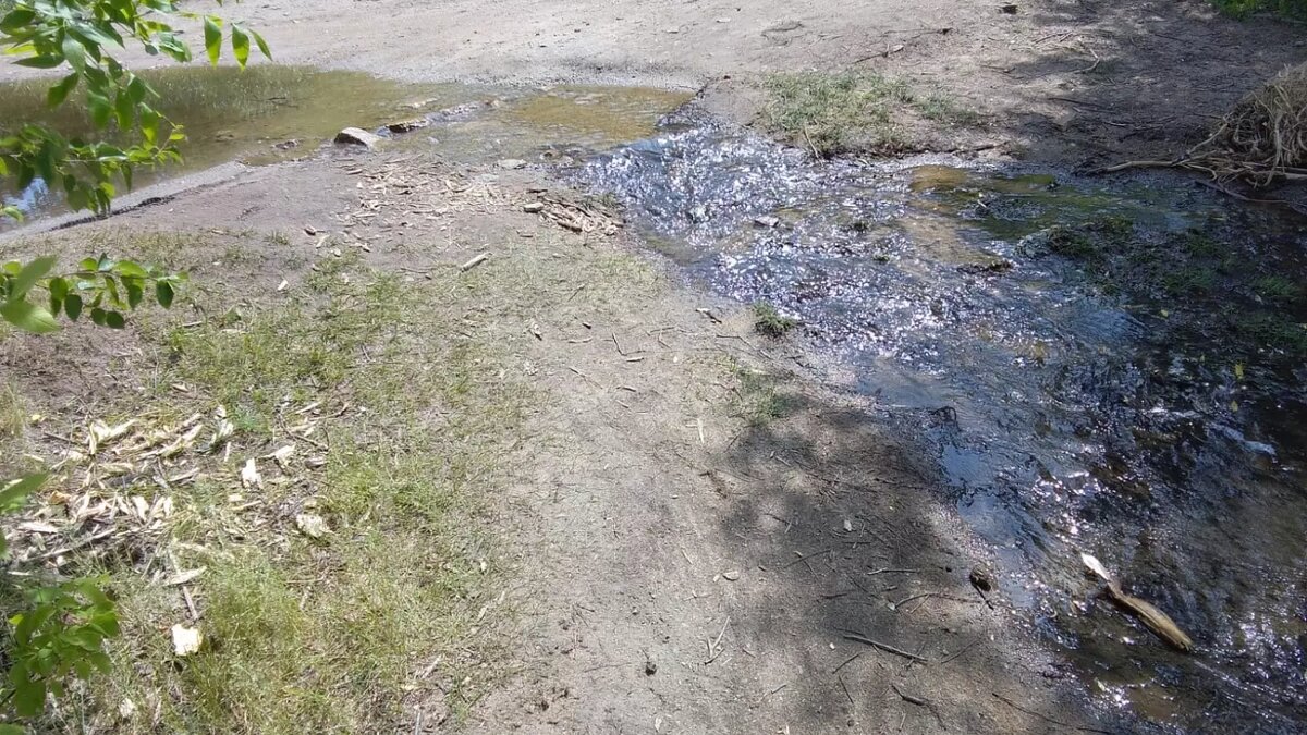     Источник: kursdela.biz