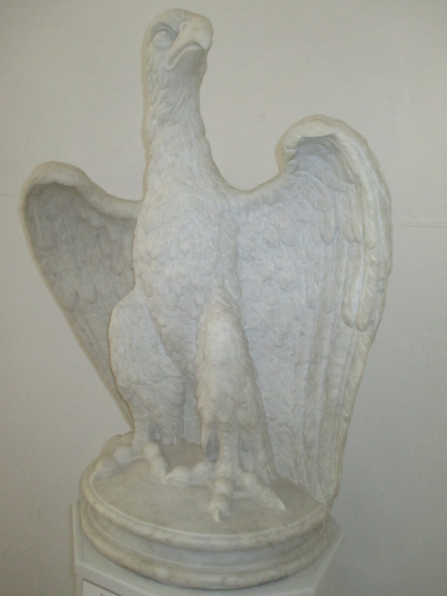 © Фотограф Семененко А. А. 12.07.2014. Ссылка обязательна.