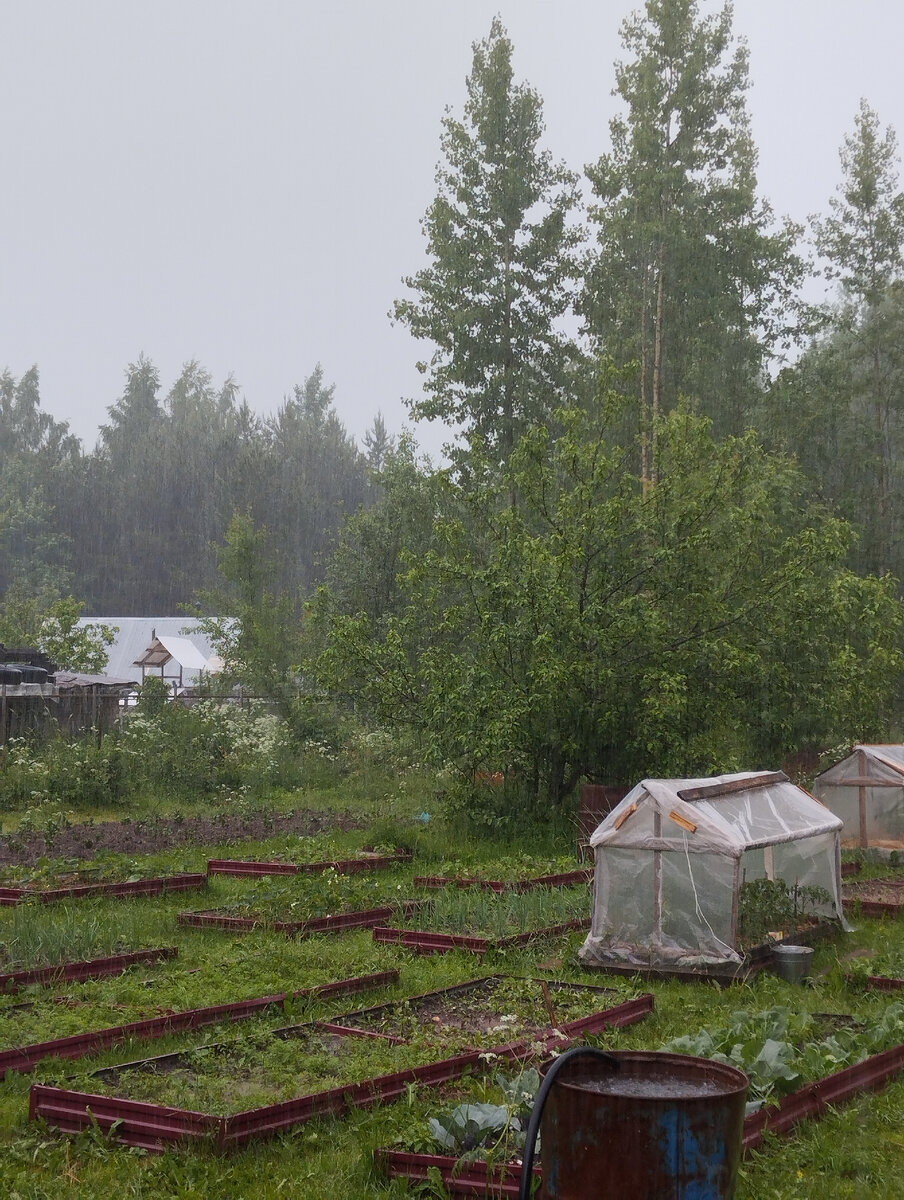 Кадр из недавнего ролика