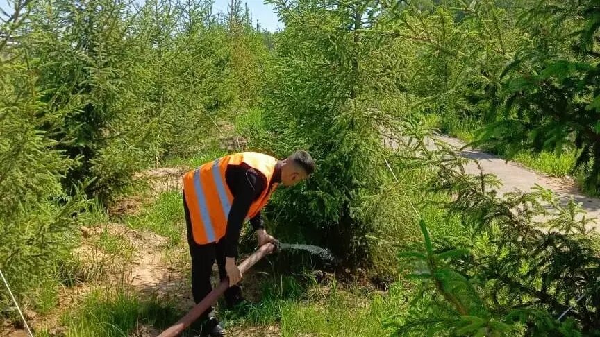     Источник: Комитет внешнего благоустройства
