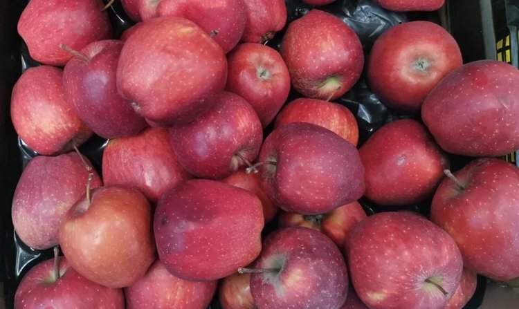    Для крупного торгового бизнеса продовольствием в Мексике ввели сертификацию нулевых пищевых отходов