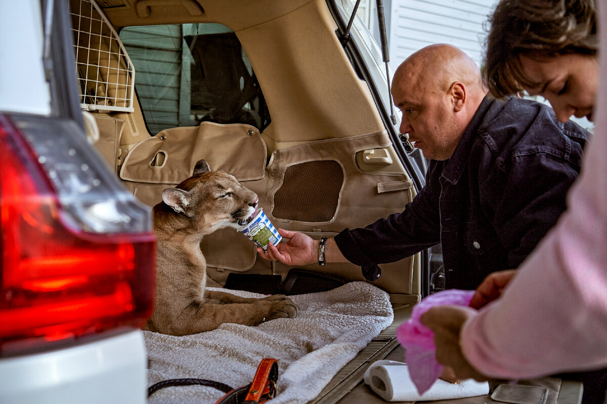 Фото: пресс-служба ТНТ 
