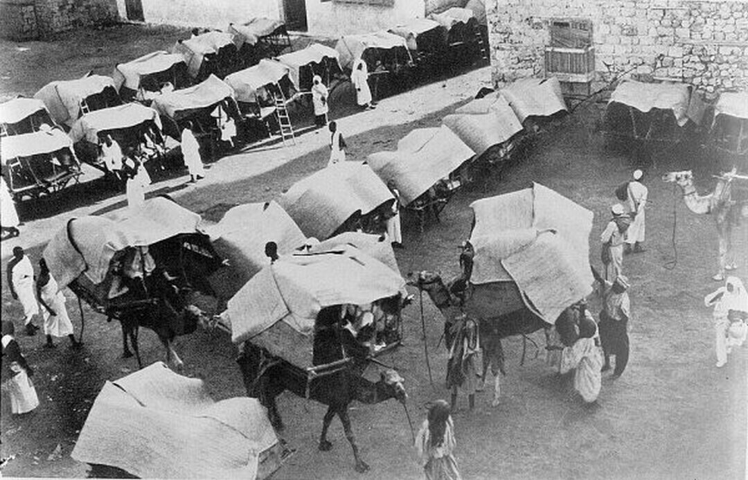 
Верблюды с палатками для паломников, примерно 1910 год / Public Domain.
Источник фото: russia-islworld.ru