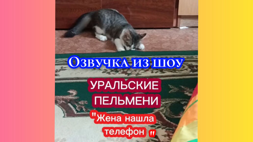 Озвучка из шоу 