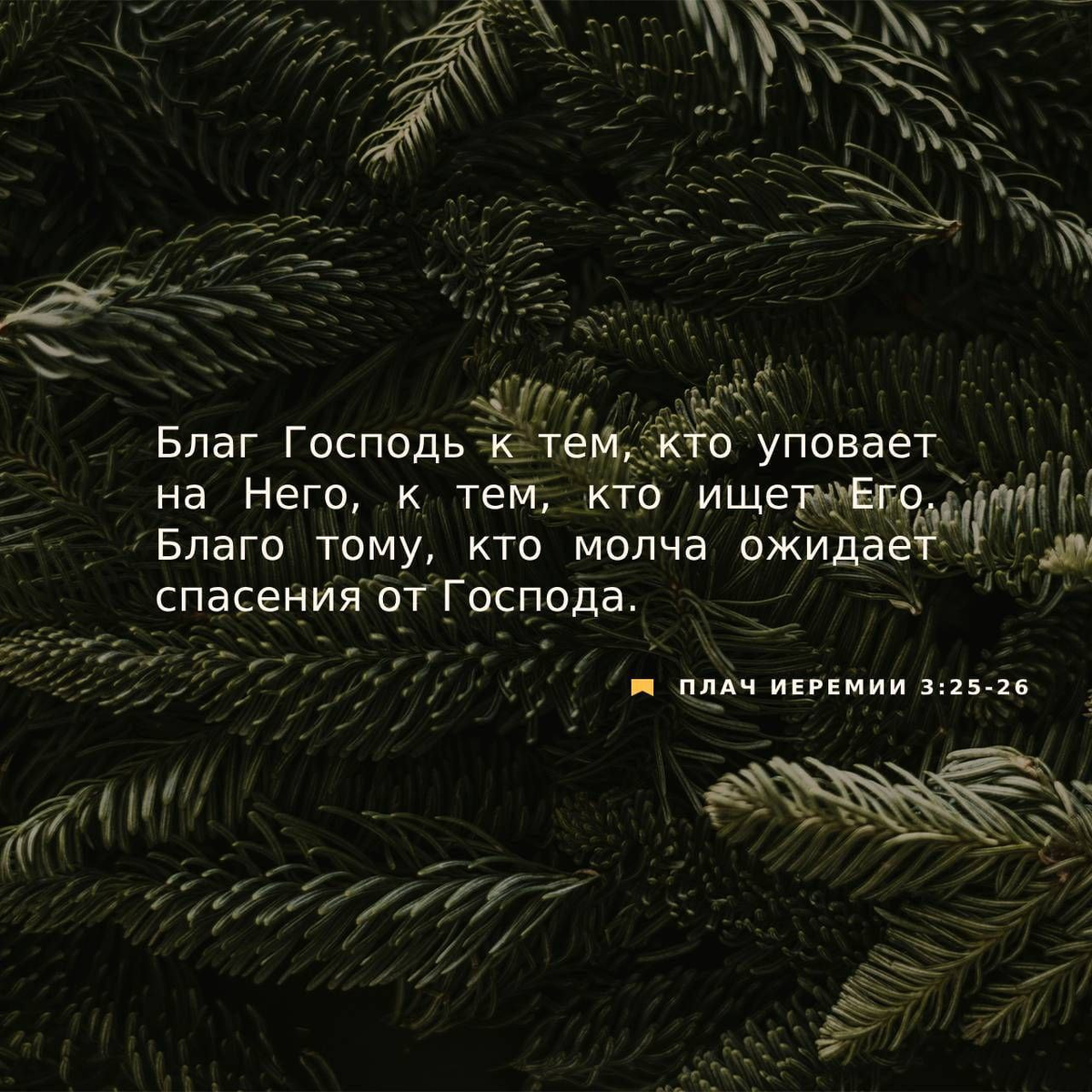 Плач Иеремии 3:25-26