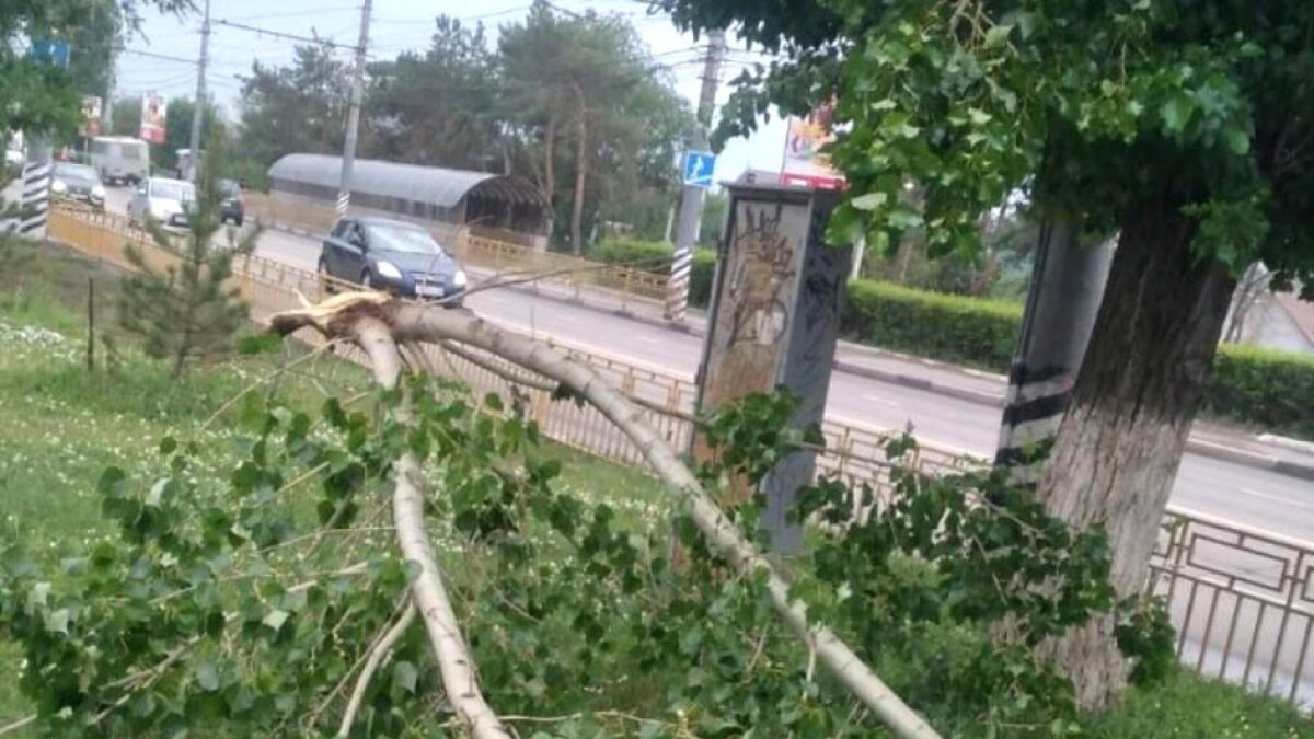 Ураган и гроза обрушились на Энгельс: последствия устраняются вторые сутки  | Reporter64 Saratov | Дзен