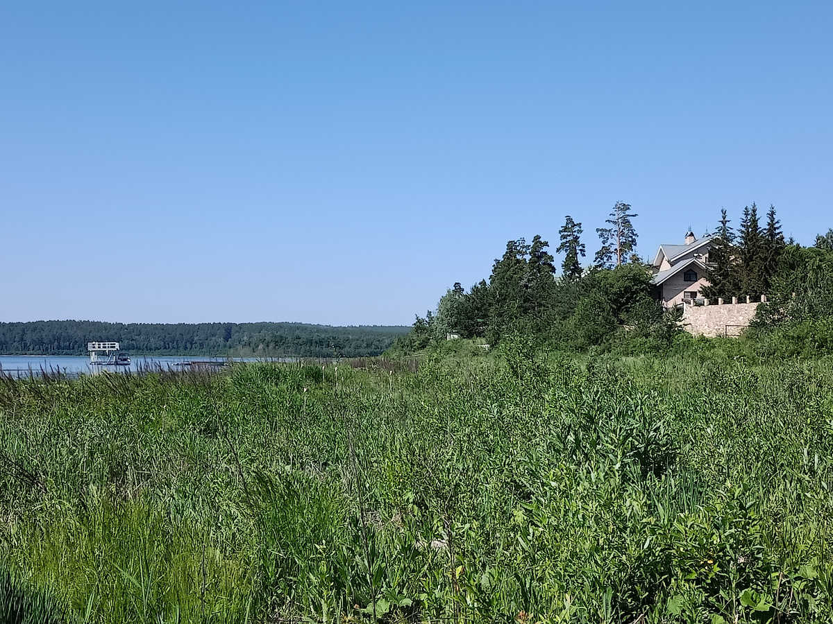 Долина страусов в Сарафаново. Памятник метеориту в Чебаркуле. Куда поехать  с детьми | Кошка в окошке - книжки из фетра | Дзен