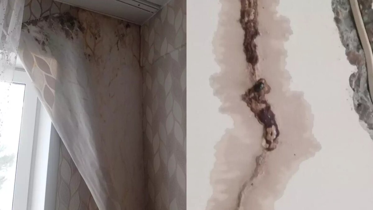     Источник: Прокуратура Красноярского края