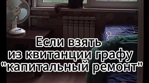 коты о капитальном ремонте