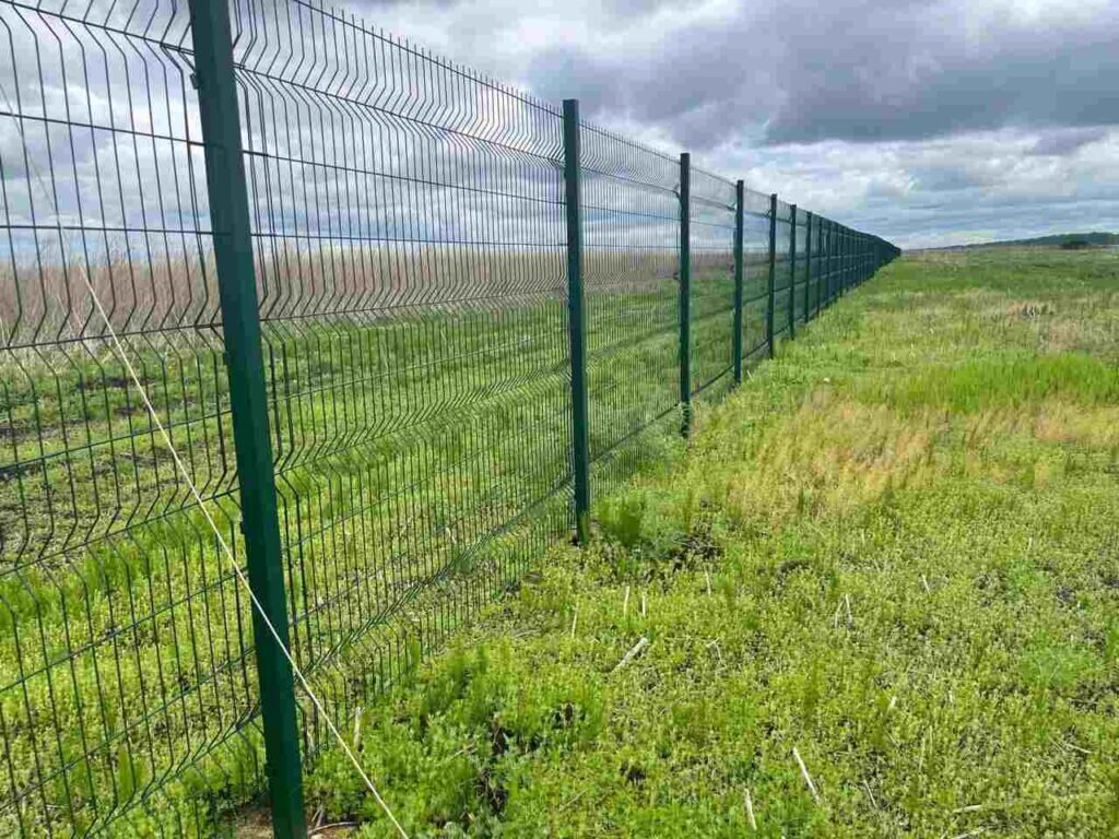    Фото: правительство Амурской области
