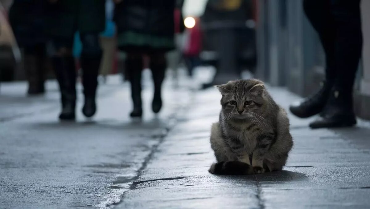     Источник: ideogram.ai