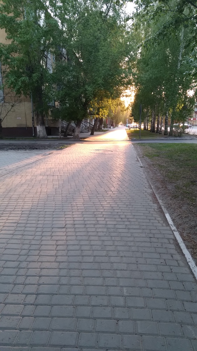 Улицы моего города. Фотография автора, май 2023 года. 