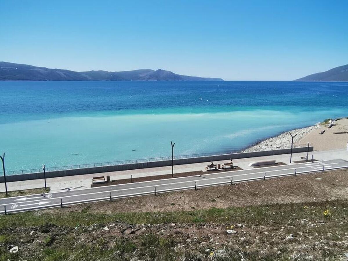    Вода окрасилась в молочный цвет в Охотском море в бухте Нагаева в Магадане © Фото : ННЦМБ ДВО РАН/Ольга Васик