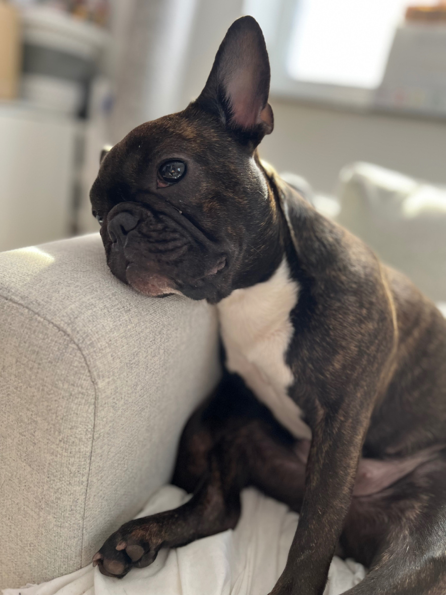 На кой я это всё затеяла…