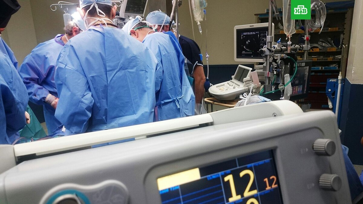    Фото: Natanael Melchor / unsplash.com