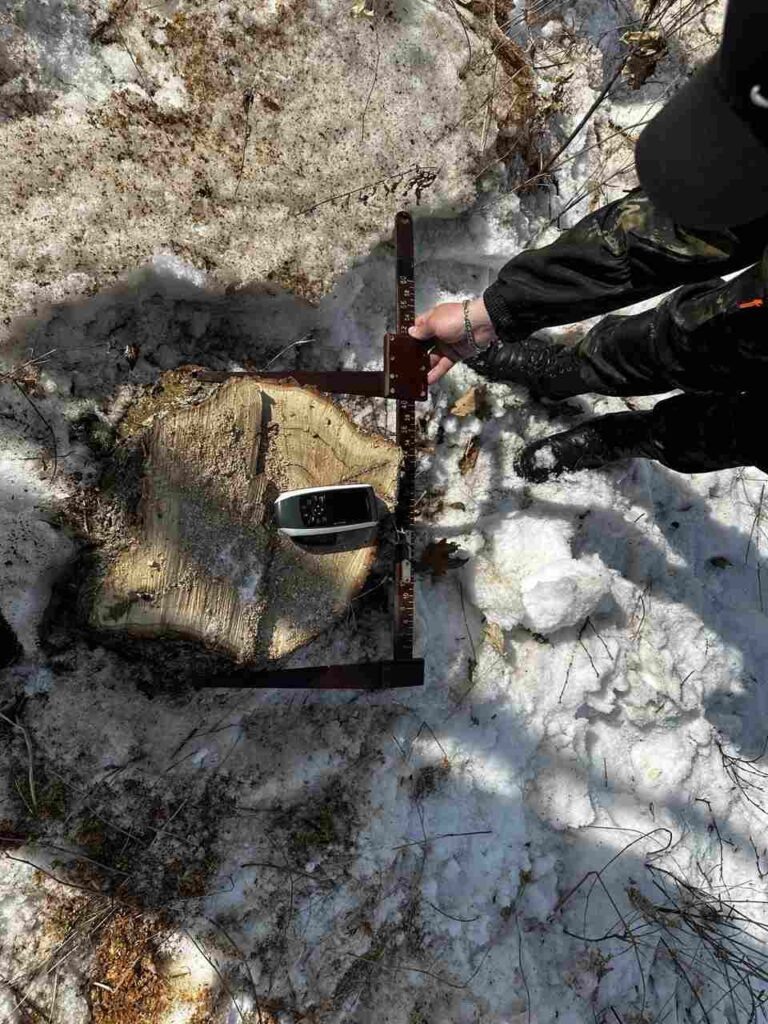    Фото: прокуратура Амурской области