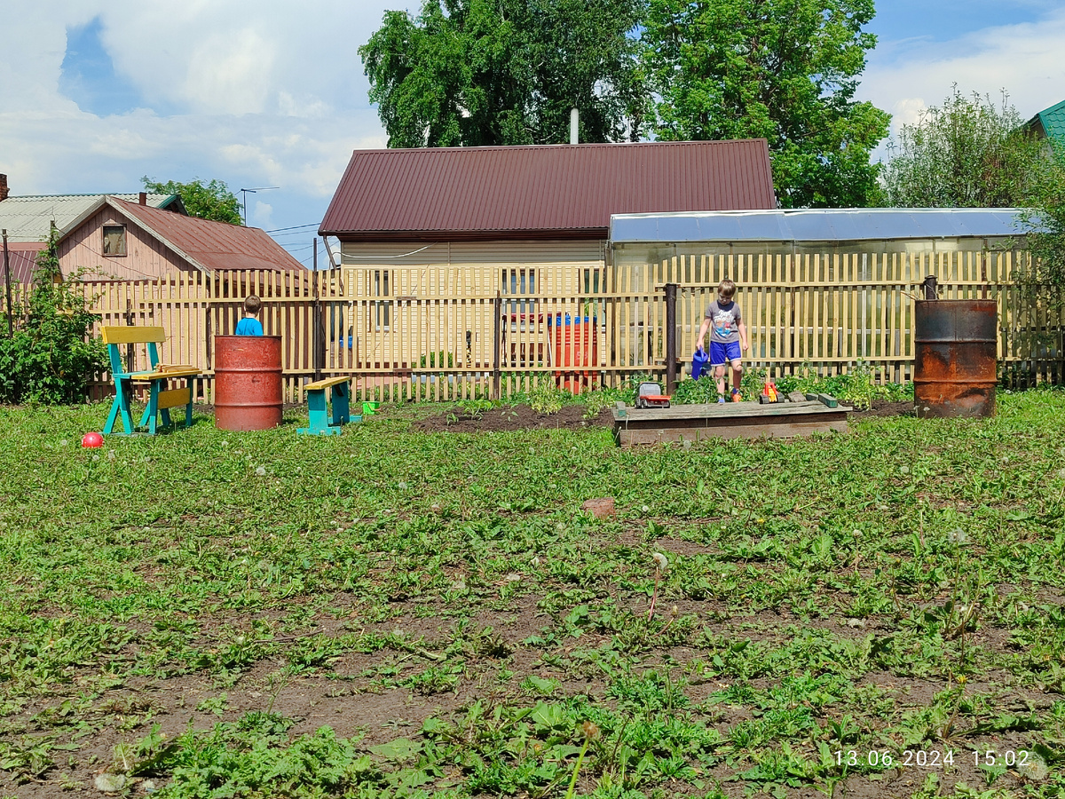 Вадя, Паша, огород