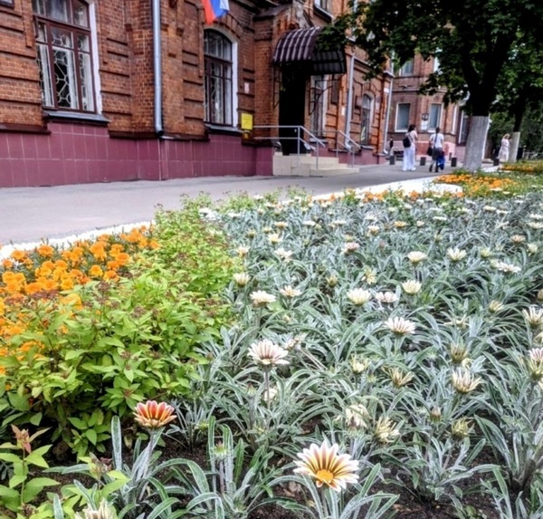     В Иванове на улице Советской снова расцвел «скверик Майорова»