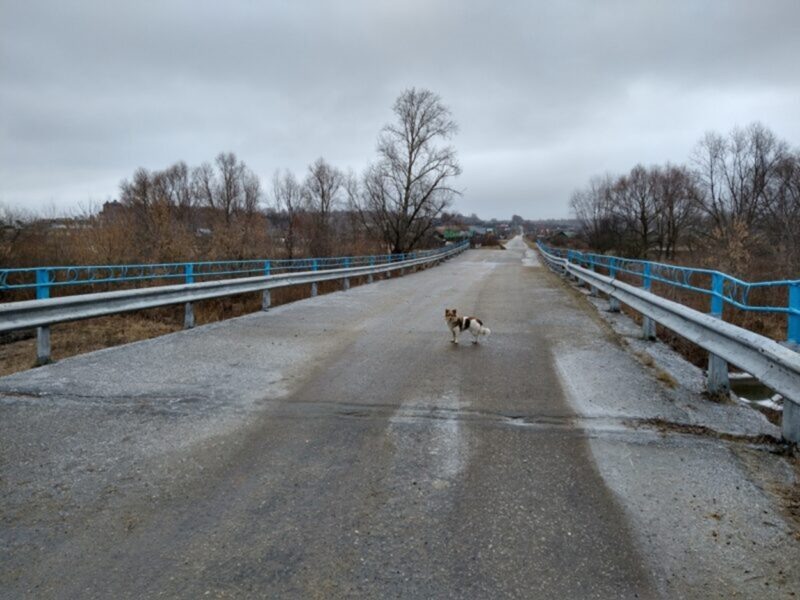 Мост в Дубенском районе нуждался в серьезном ремонте. Фото: Столица С 