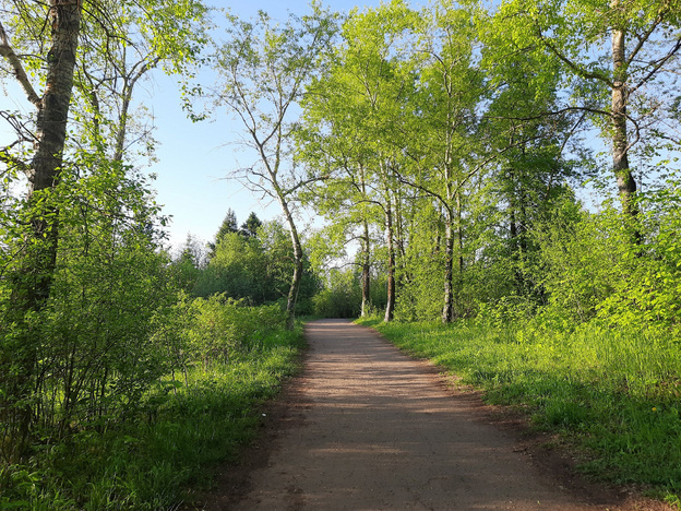    Что пить в жару?