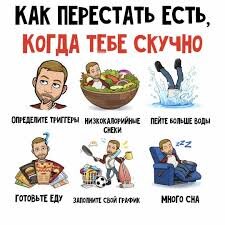 Диетолог посоветовала перестать худеть: Еда: Из жизни: torextula.ru