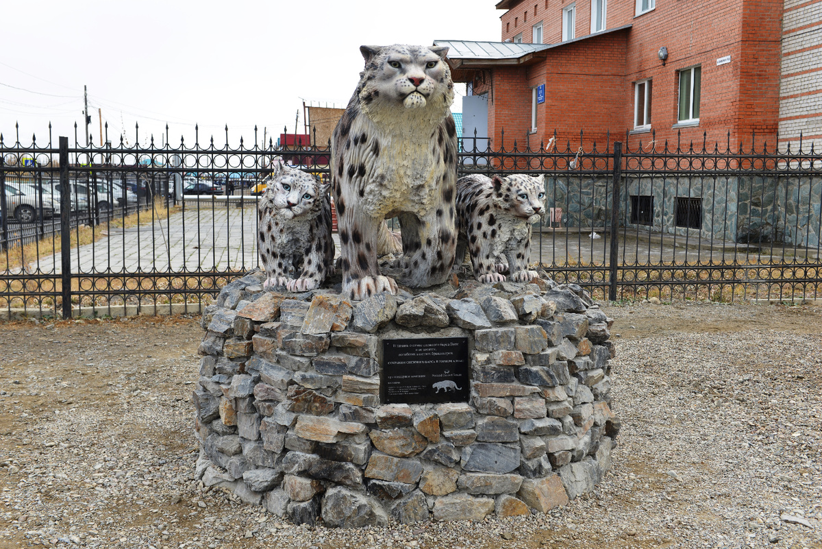 Автор фото: Александр Тырышкин