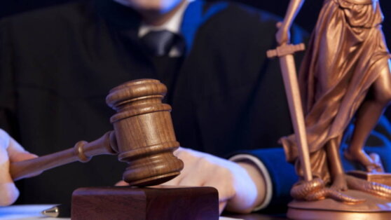    Российский суд признал "Грузинский национальный легион" террористической организацией Ирина Петрова