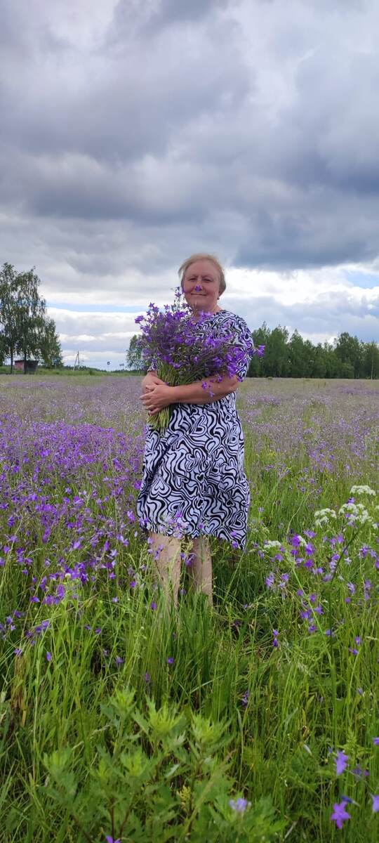 Целое поле колокольчиков