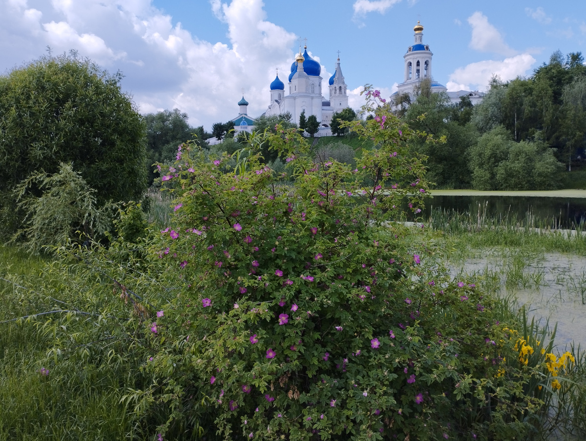 Фото автора канала. 