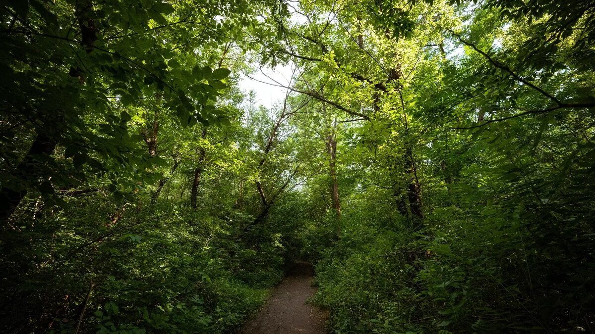     Источник: 1MI