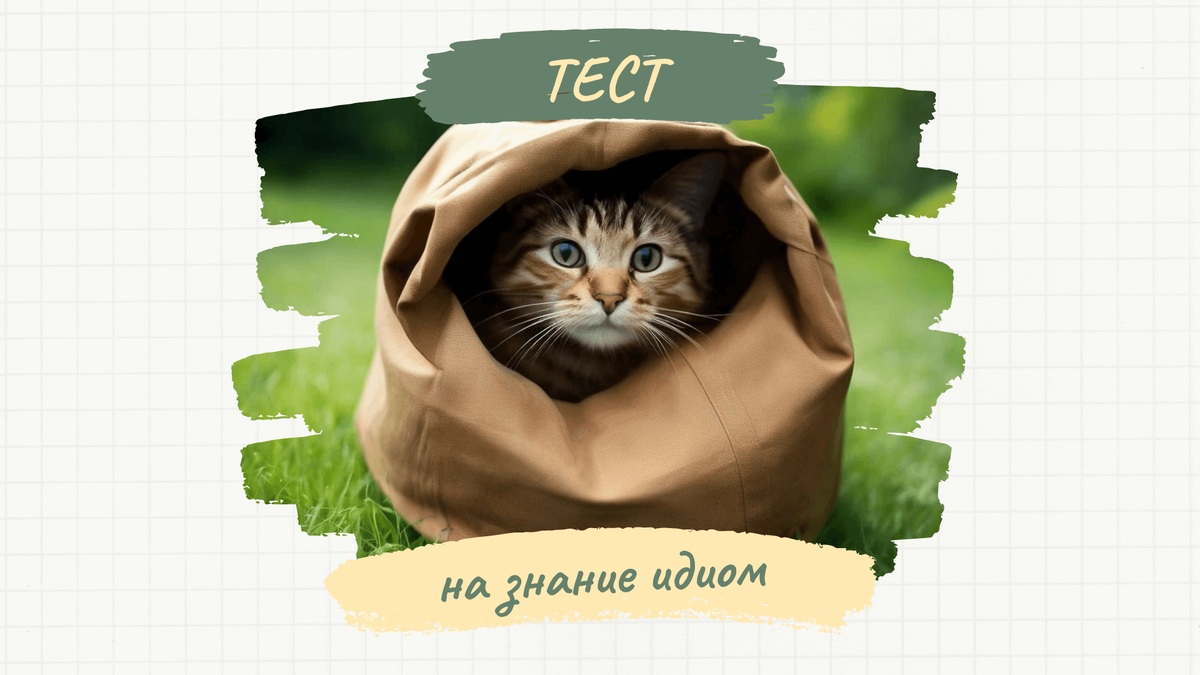 Тест на знание английских идиом