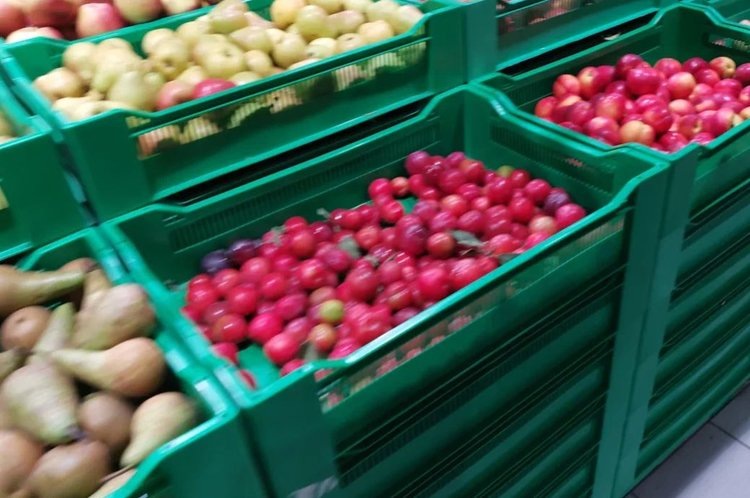    Запуск спецпрограммы по страхованию садов анонсировал Минсельхоз РФ