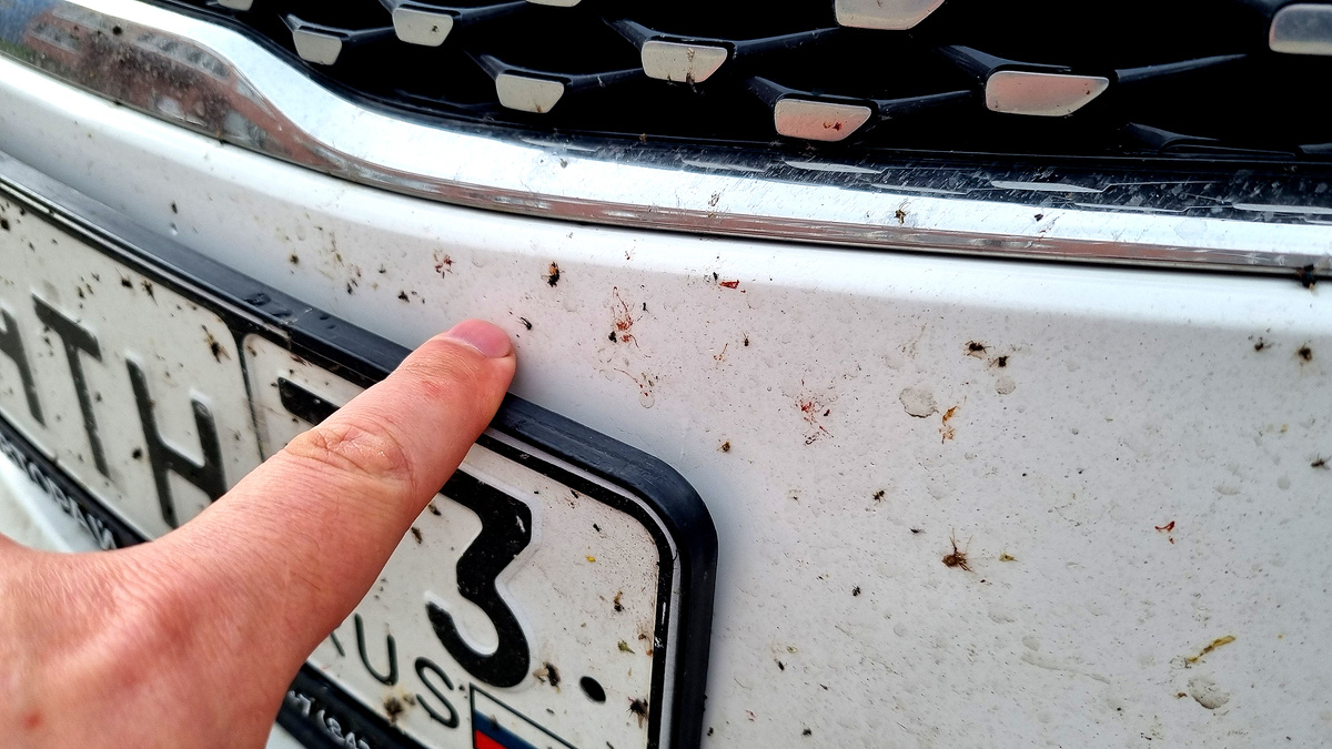 Не нужно никому говорить - что летом огромное количество насекомых, ну и соответственно когда вы передвигаетесь на автомобиле (особенно по трассе), эти насекомые ровным слоем распределяются у вас на