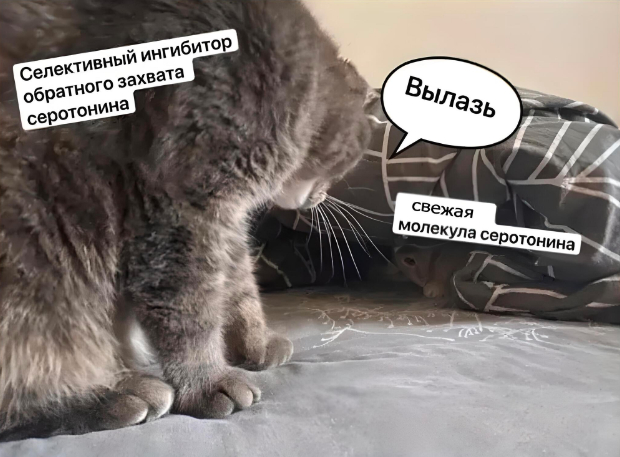 как повысить уровень серотонина без антидепрессантов