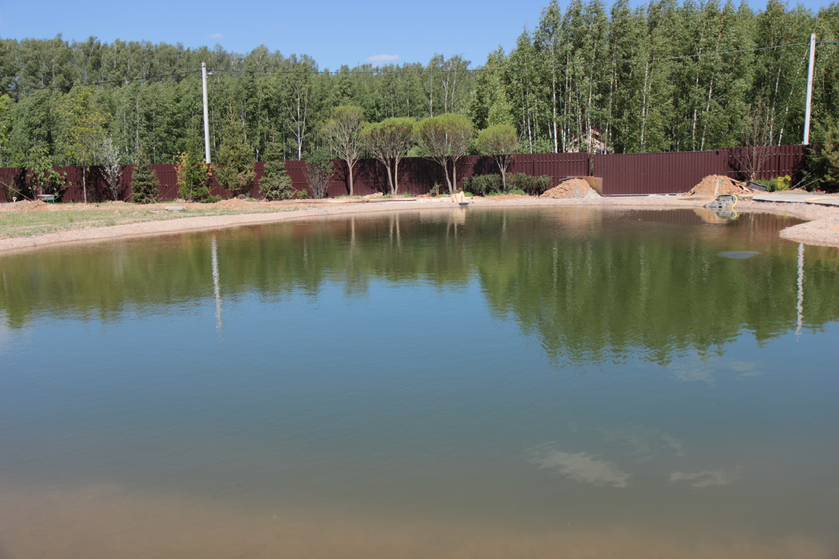  От чистоты воды зависит не только красота водной поверхности, но и вся экосистема водного бассейна.-4