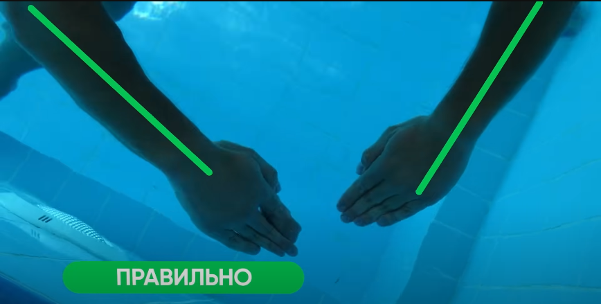 Сегодня поговорим о брассе. Это самый технически сложный стиль плавания. В нем очень важно совместить правильную работу рук и ног и попасть в определенный ритм.-2