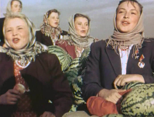  Яркий фильм "Кубанские казаки" (1949) 