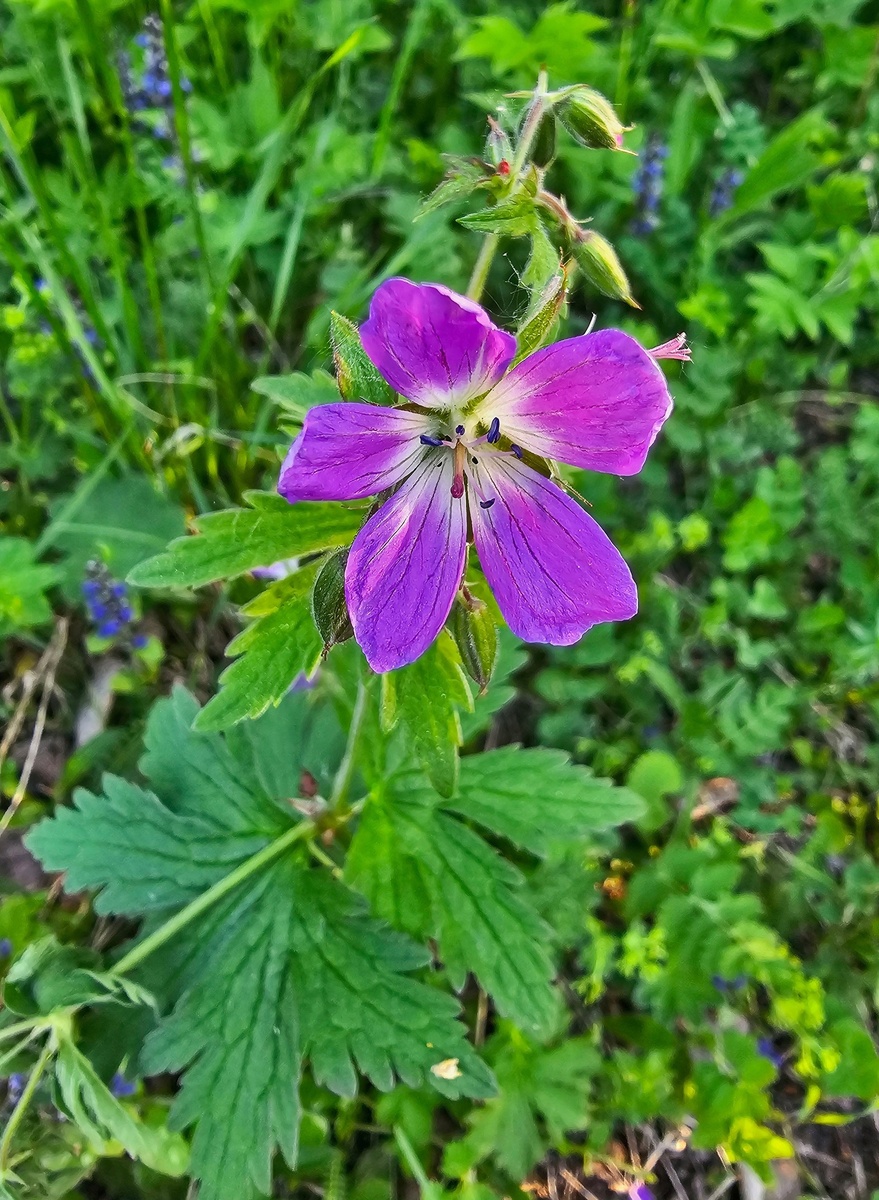 она стояла в замешательстве
