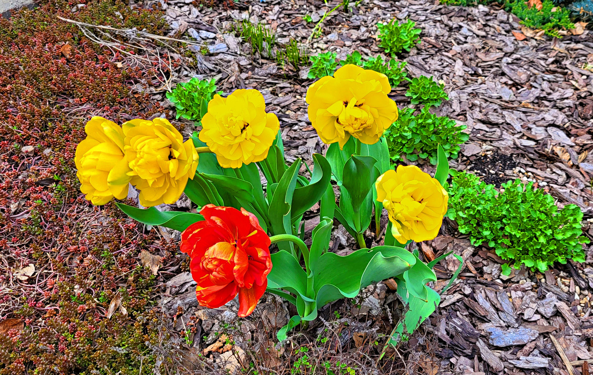 Фото принадлежит автору  канала.