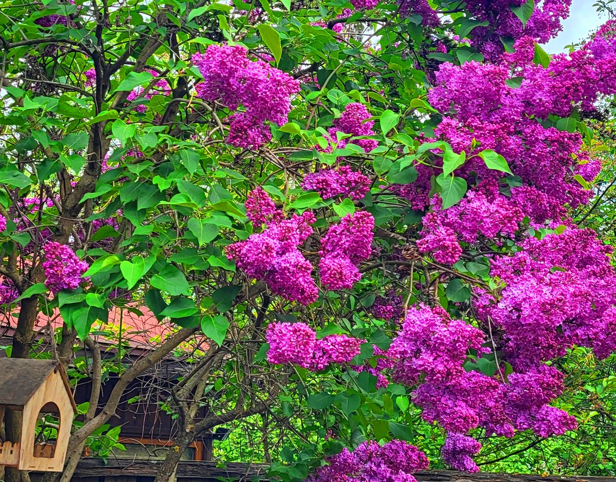 Фото принадлежит автору канала. 