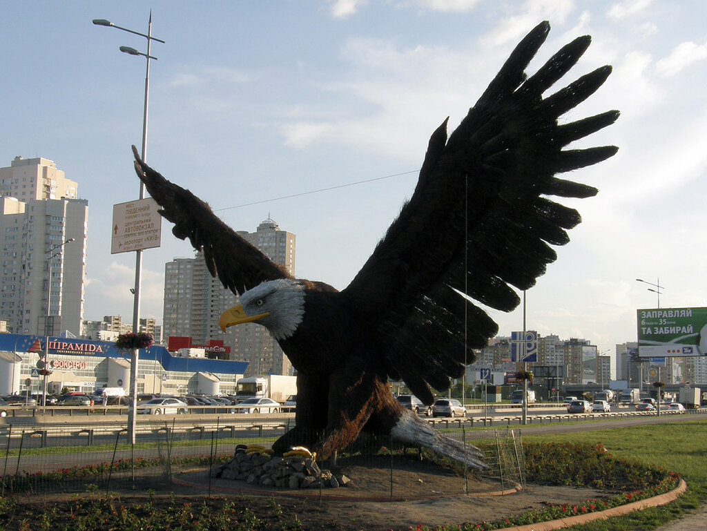 Самый крупный орёл в мире (размах крыльев - 6 метров)