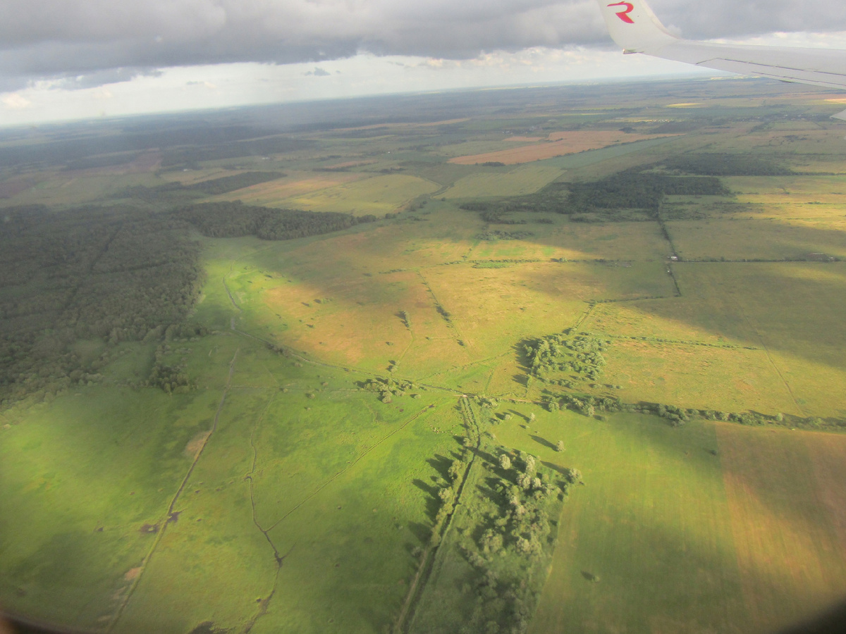 сеть ирригации 