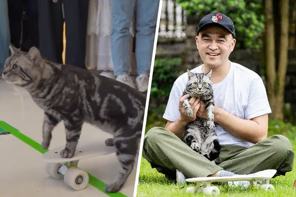 Guinness World Records