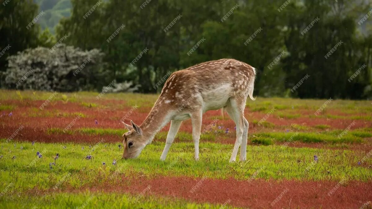     Источник: freepik.com