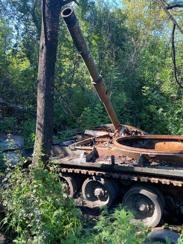 сгоревший танк в посадке под Авдеевкой