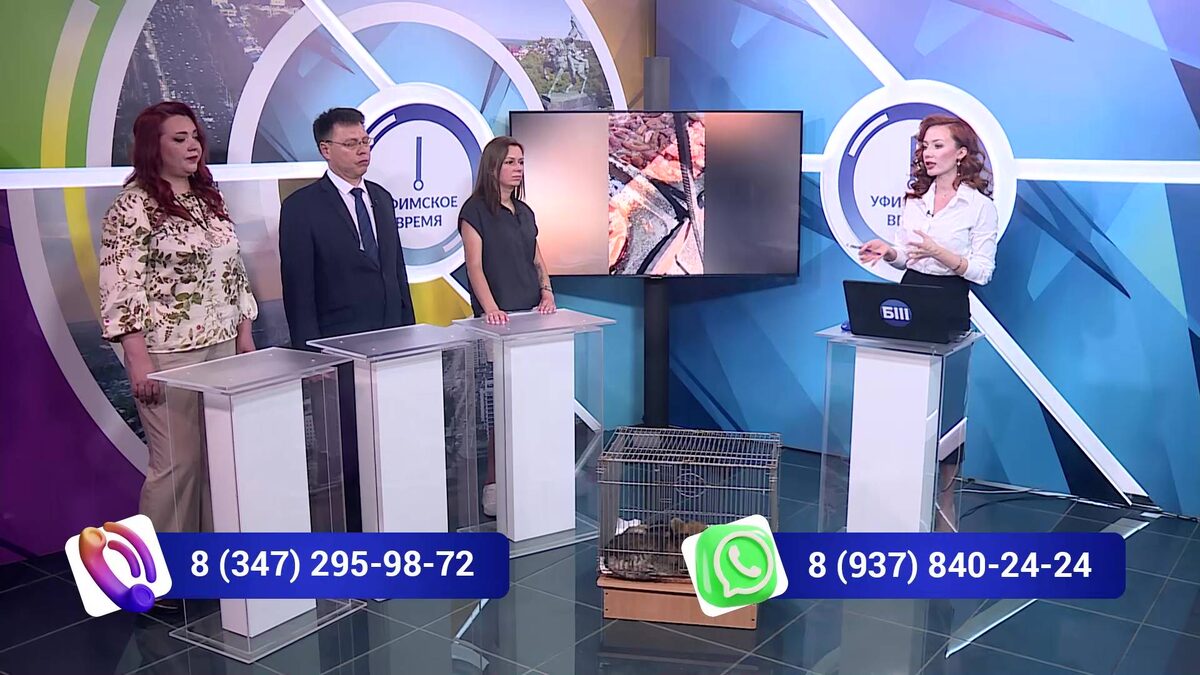    ​«Уфимское время» 11 июня: эксперты рассказали о приютах для животных