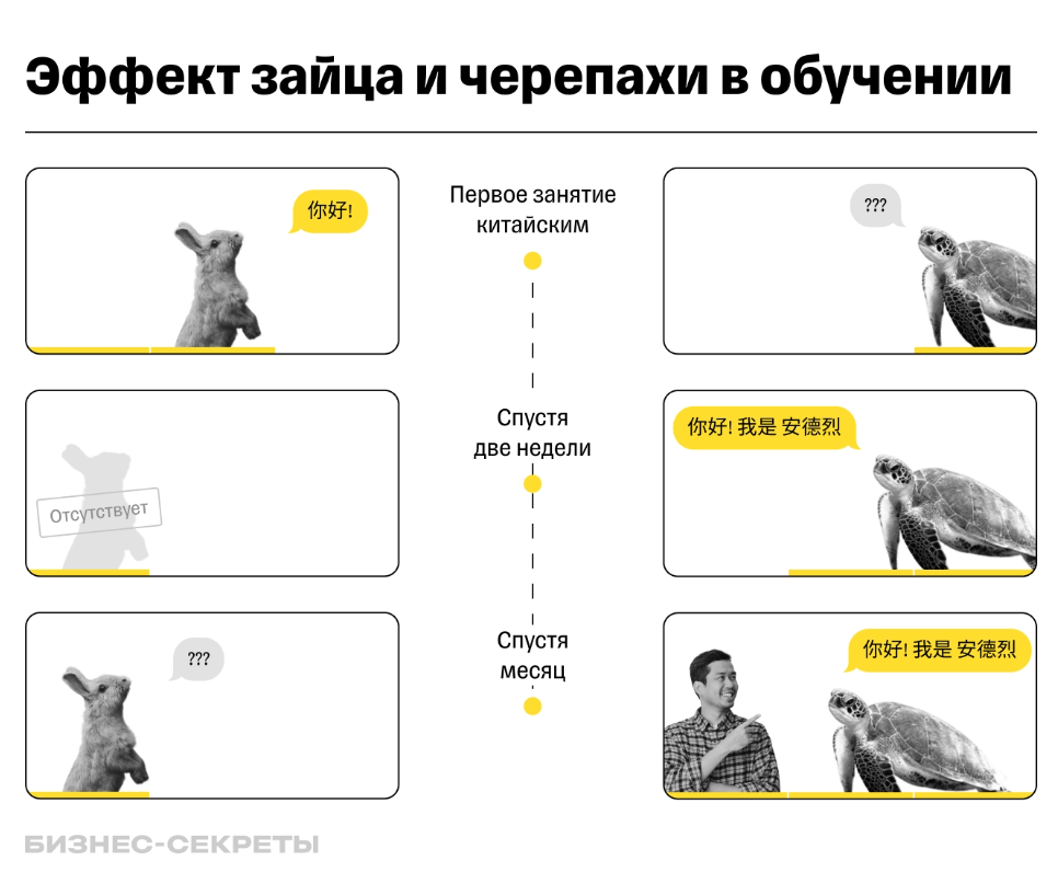 Некоторые люди быстро схватывают новую информацию. Но если они затем не занимаются регулярно, прогресс быстро сходит на нет — это эффект зайца